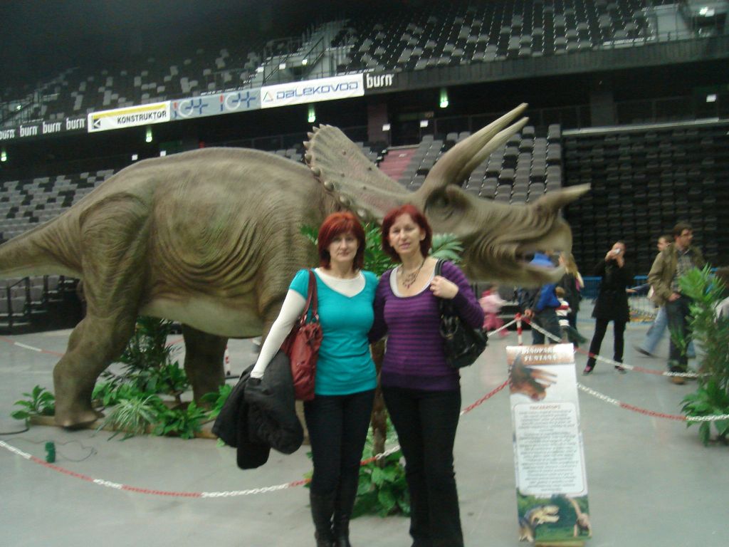 Dino 061 Dino 061