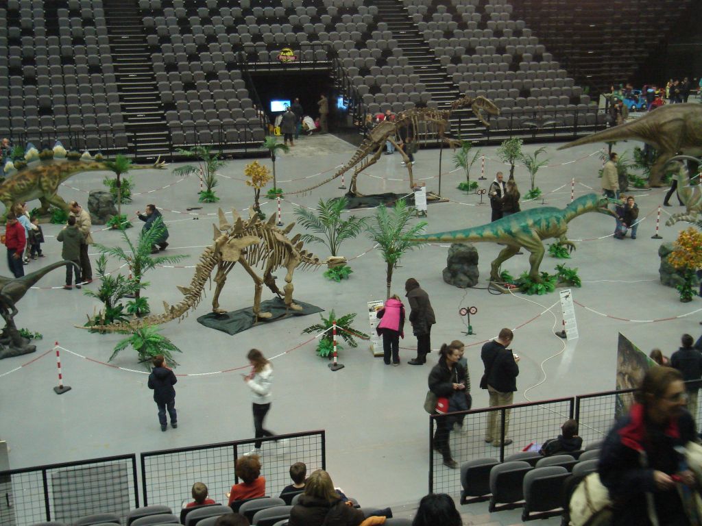 Dino 079 Dino 079