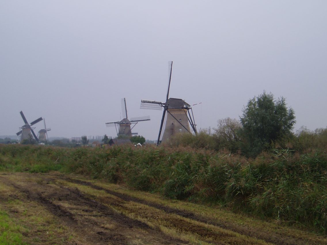 Kinderdijk 1