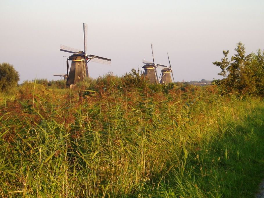 Kinderdijk 10