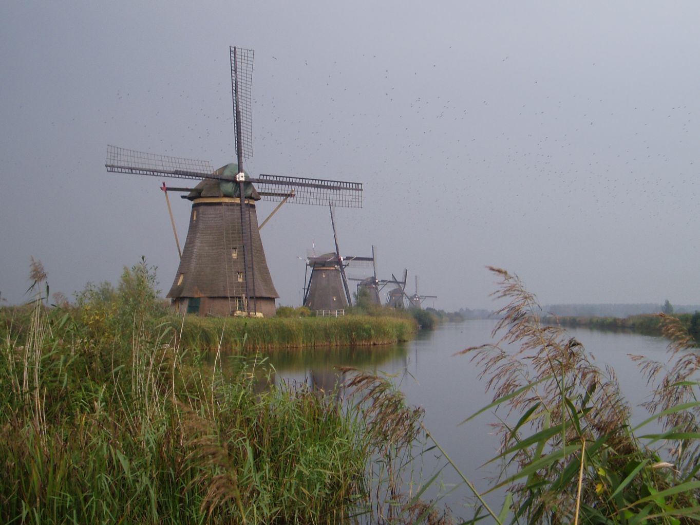 Kinderdijk 5