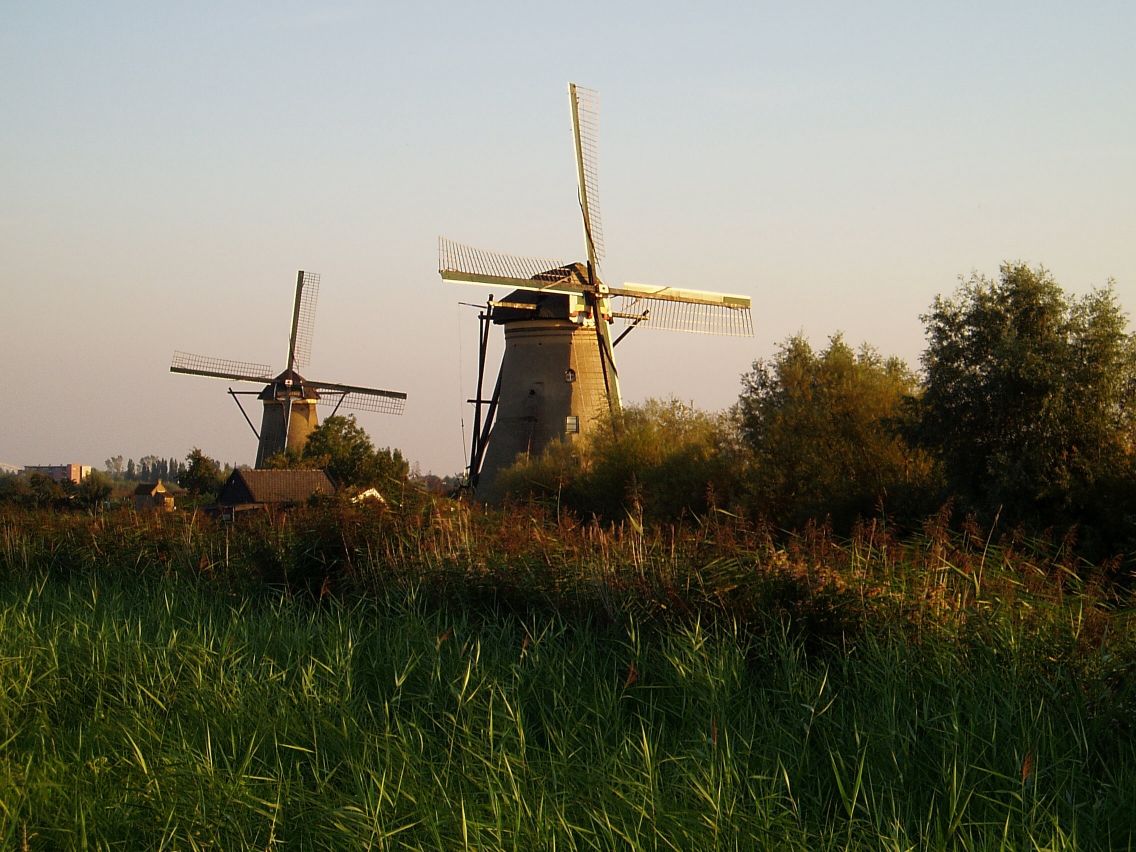 Kinderdijk 8