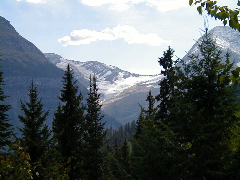 Jackson Glacier Jackson Glacier