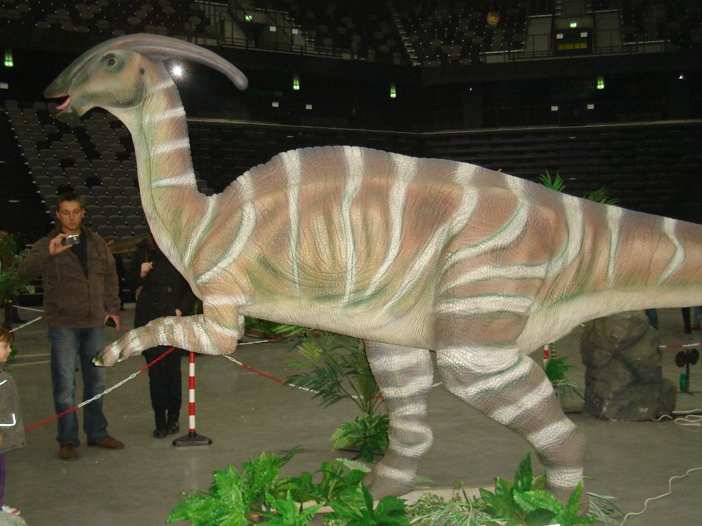 Parasaurolophus Parasaurolophus