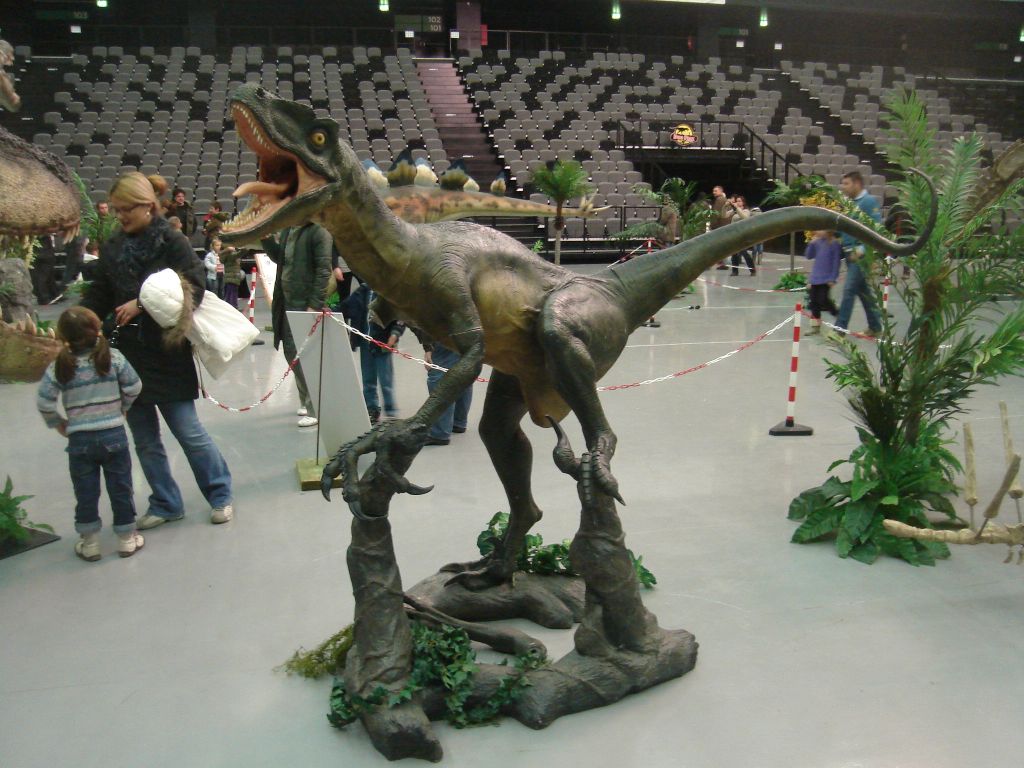 Raptor Raptor