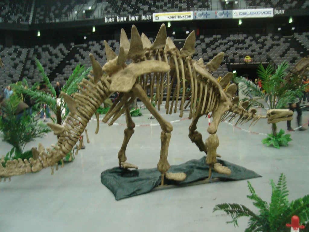 Toujiangosaurus Toujiangosaurus