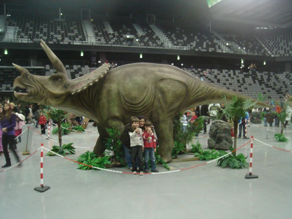 Triceratops Triceratops