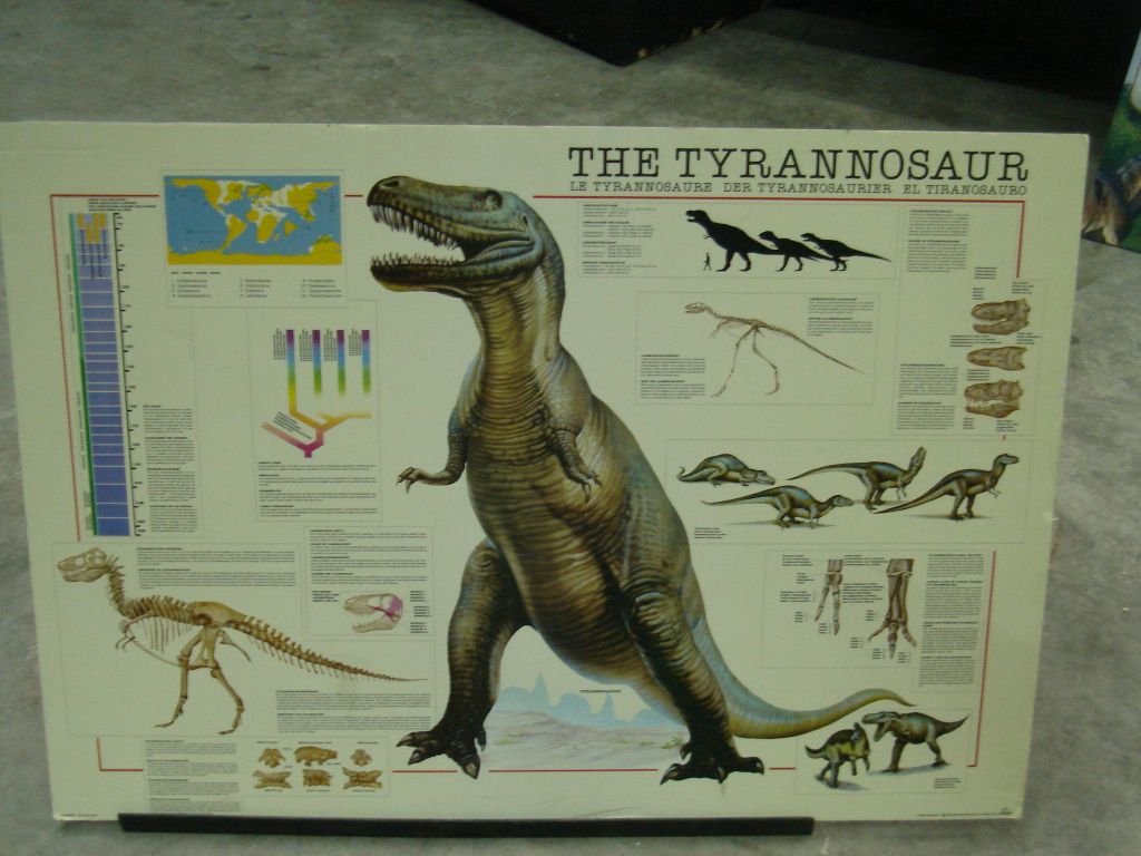 Tyrannosaur Tyrannosaur