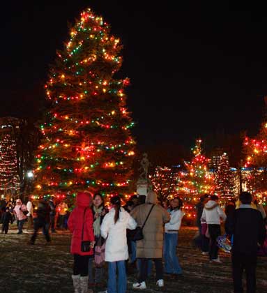 Victoria Park-lights