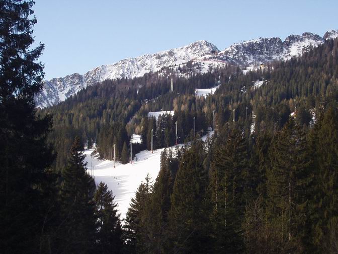 Vrh Cinque Langhi na 2064 m i skijaške staze kroz gustu borovu šumu