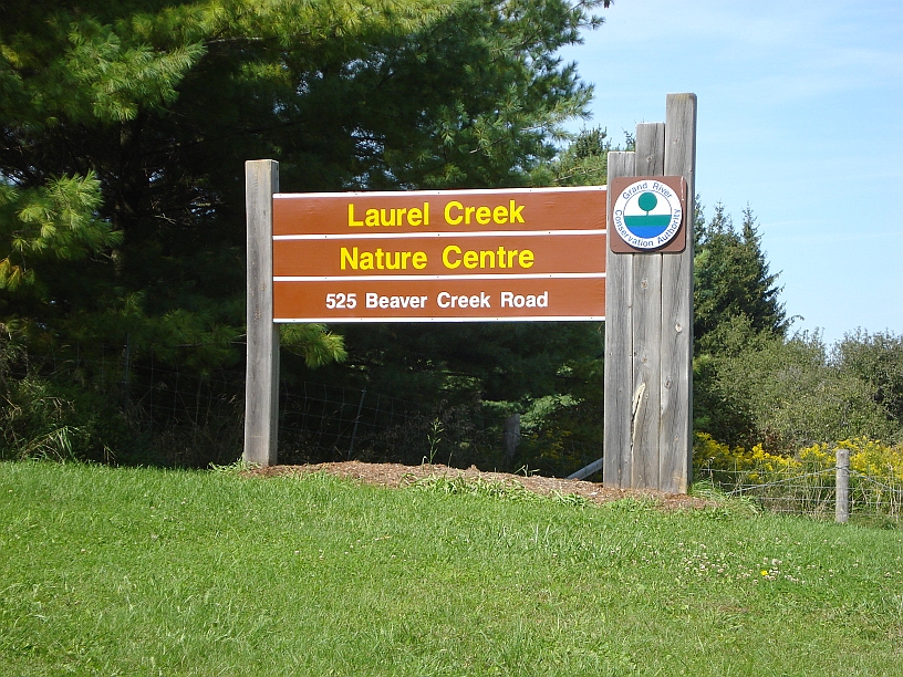Laurel Creek