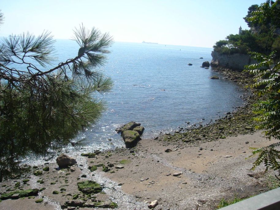 pla_a pored dvorca Plaža pored dvorca