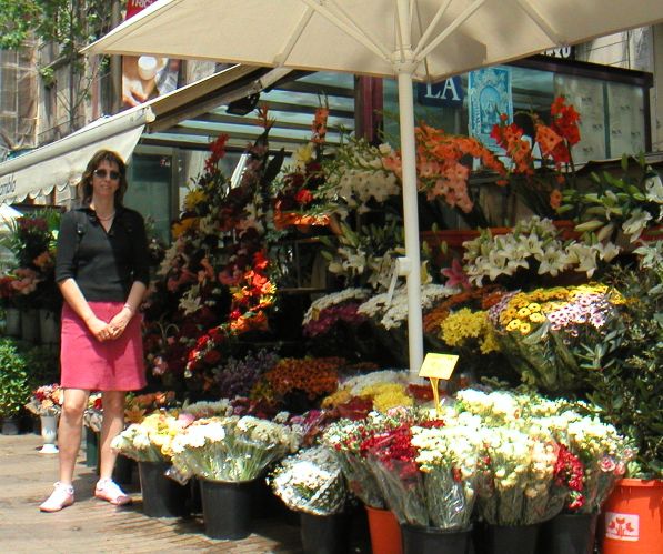 MINOLTA DIGITAL CAMERA Rambla