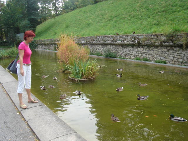 Burggarten Burggarten