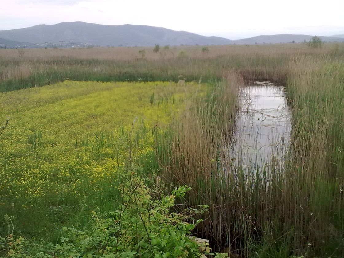 plodne povr_ine Plodne površine