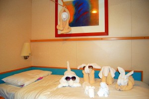 AOS-AllTowelAnimals AOS-AllTowelAnimals