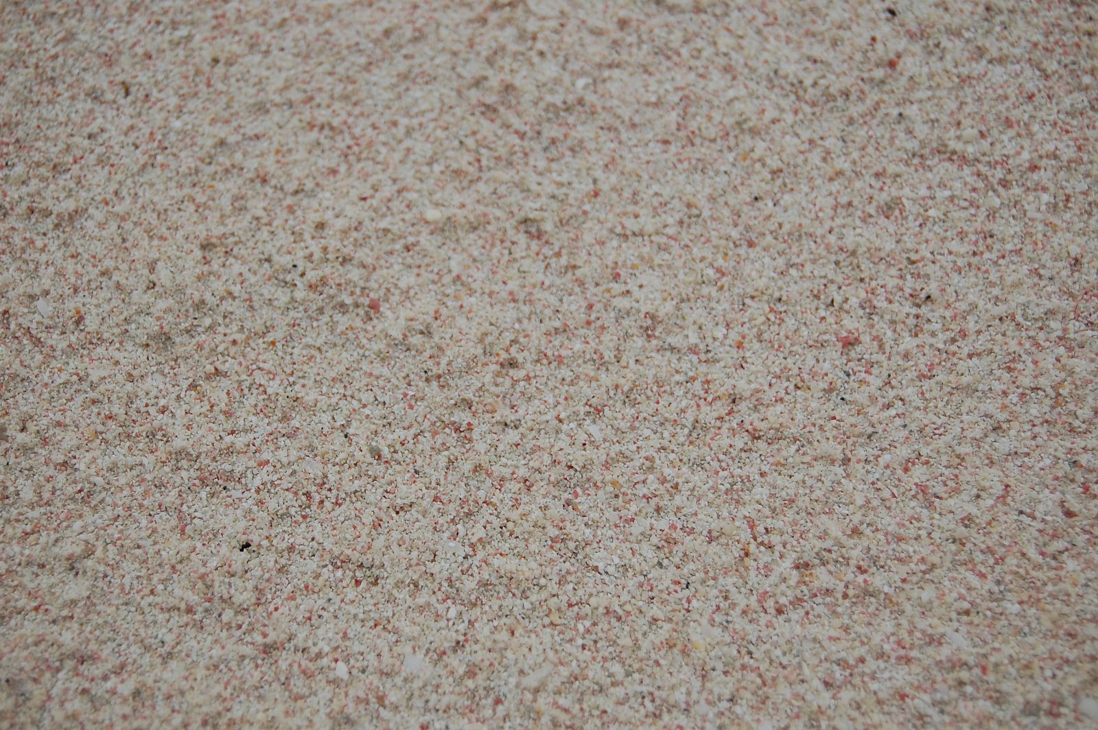 Barbados-PinkSand Barbados-PinkSand