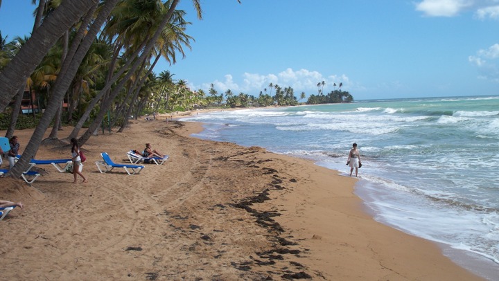 Playa Playa