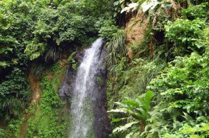 StLucia-Waterfall StLucia-Waterfall