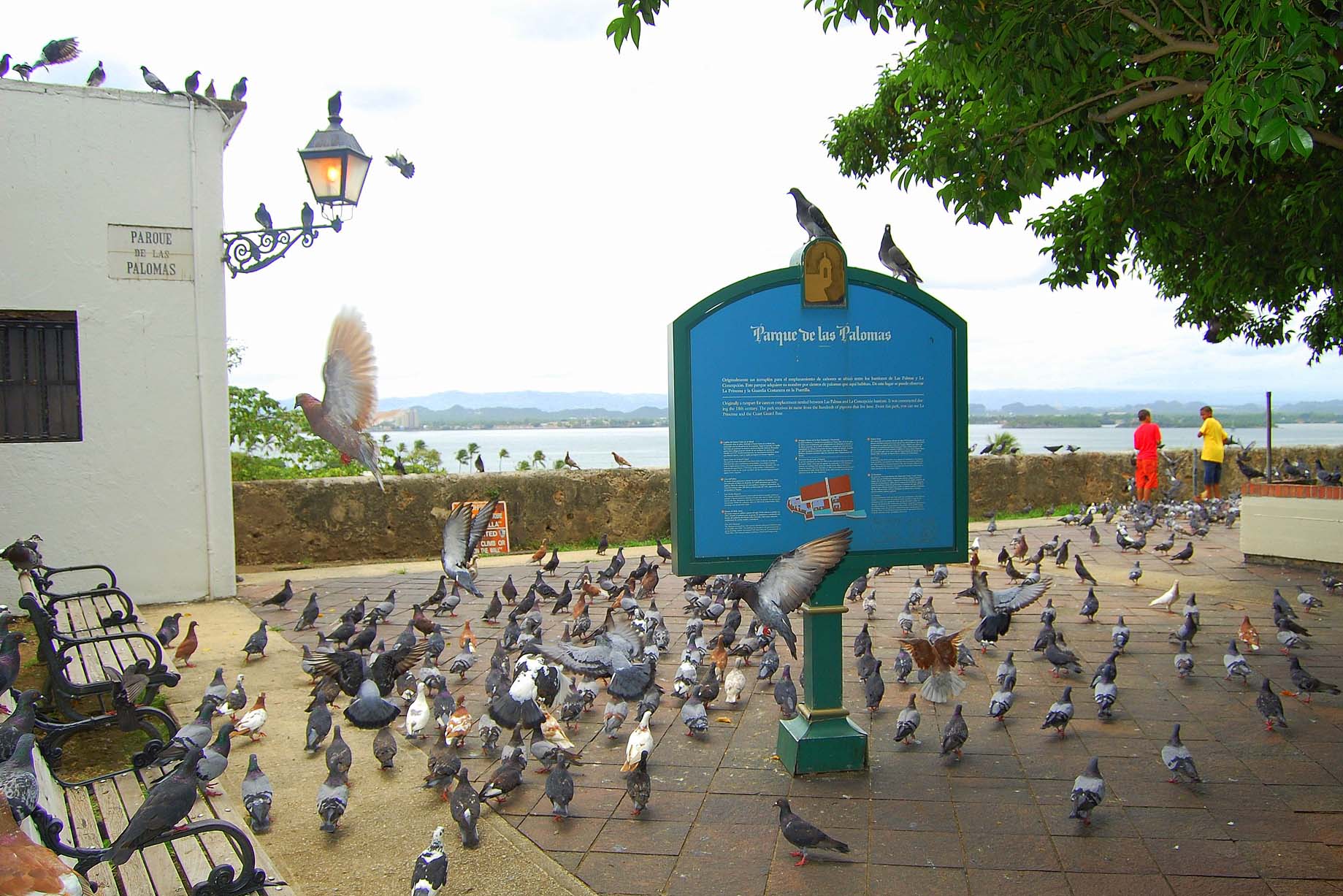 ParquedelasPalomas Parquedelas Palomas