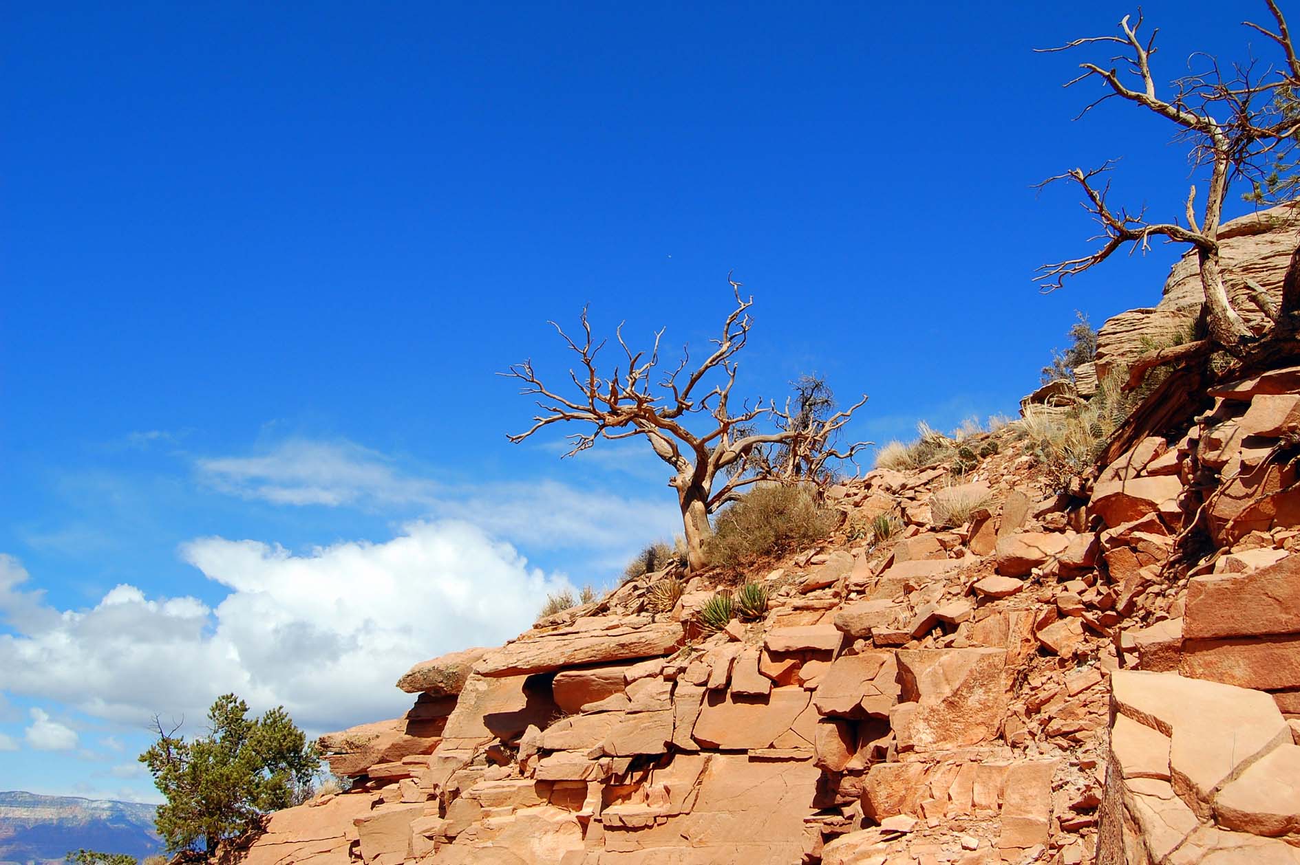 GC-Nature Grand Canyon - Okolis