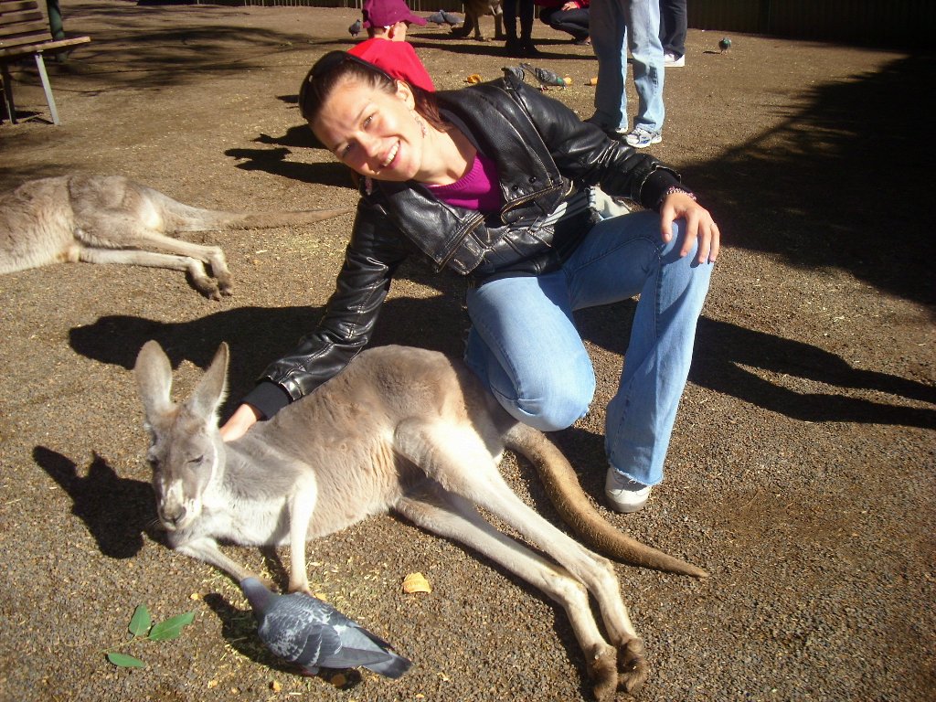 Marija i klokan,simbol Australije