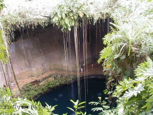 2-Cenote-izvana