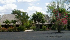 4-Kompleks-oko-cenote