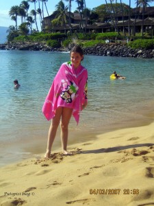 NapiliBayBeach_C Napili Bay Beach