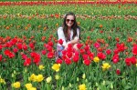 Holland - The Tulip City - Michigan