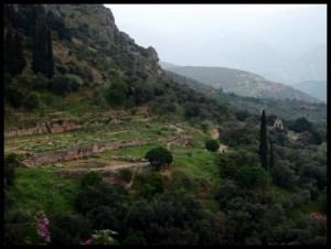 OLYMPUS DIGITAL CAMERA Delphi 2
