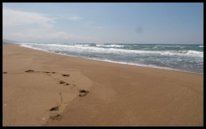 Tragovi Tragovi