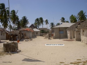 Jambijani vilagge na Zanzibaru