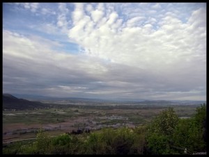 Vrgorac