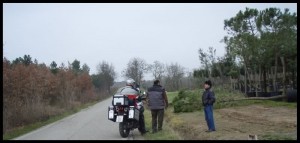 Sahara 21 Stali i pitali