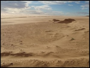 Sahara 54 Boca