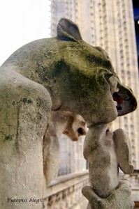 NotreDame_Gargoyle Notre Dame - Gargoyle