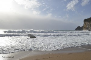 _ORB2594 Budvanska plaža