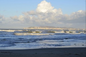 _ORB2810 Na plaži