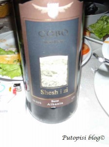 OLYMPUS DIGITAL CAMERA Crno vino - sorta Shiraz