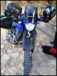 Sahara 67 Ukras