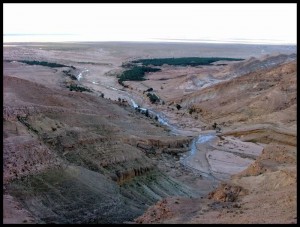 Sahara 71 Pogled iza