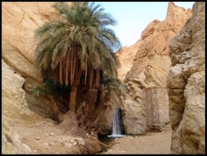Sahara 76 Izvor