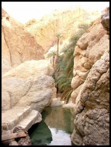Sahara 89 Još jedan pogled prije odlaska