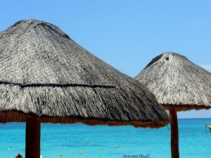 Riviera Maya Palapasi