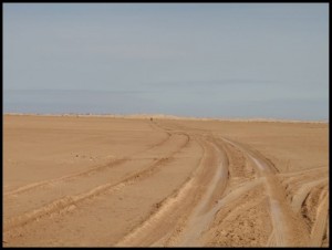 Sahara 151 Put je pred nama