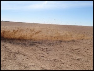 Sahara 155 Vidite sada