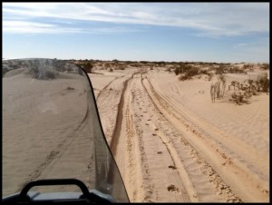 Sahara 174 Put pred nama