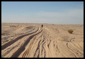 Sahara 186 i još naprijed