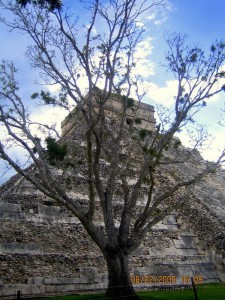 ElCastillo_BehindTree El Castillo - Behind Tree